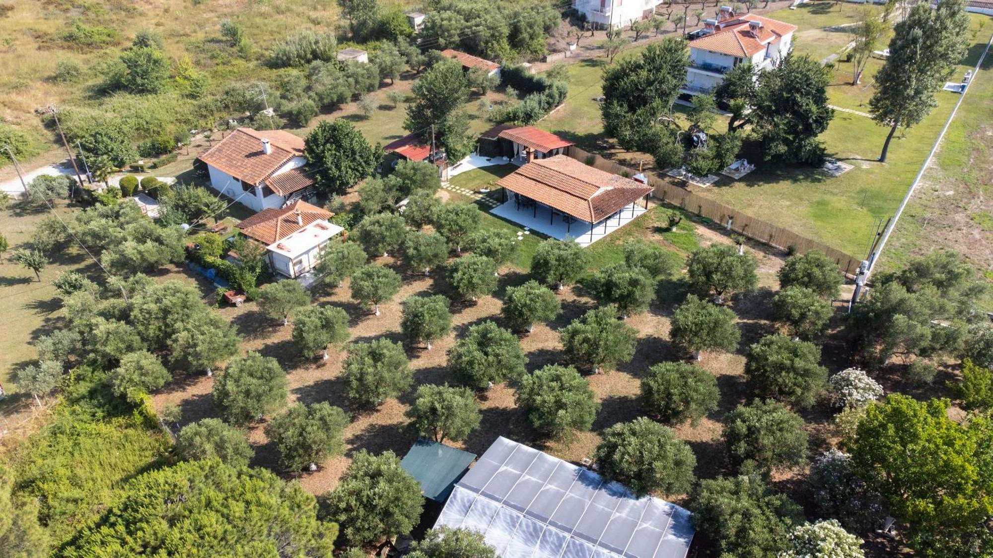Casa Alelia Lagonisi Ormos Panagias Bagian luar foto