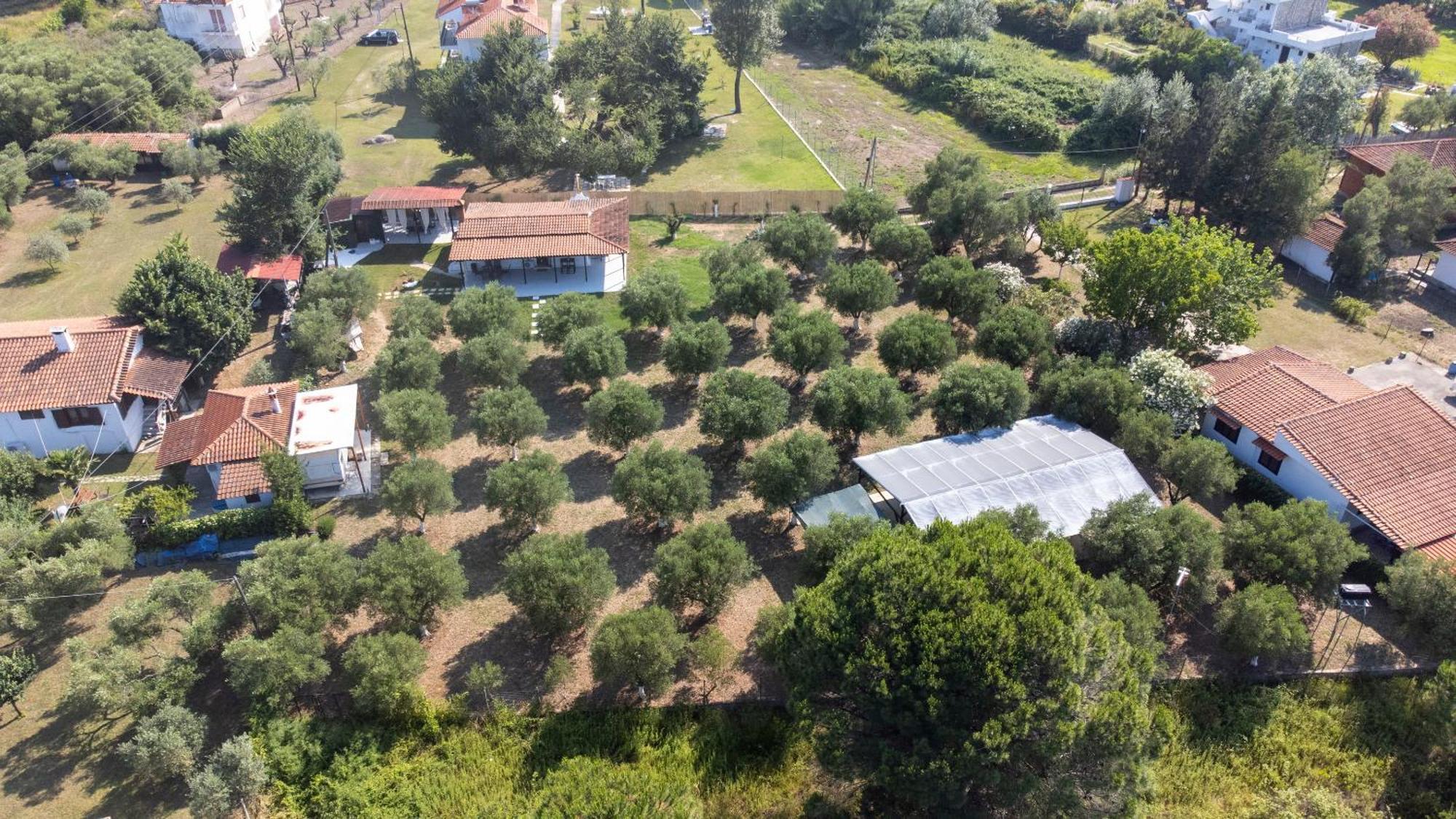 Casa Alelia Lagonisi Ormos Panagias Bagian luar foto